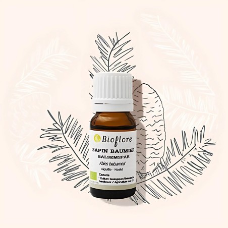 Organic balsam fir essential oil oxygenates and sanitizes