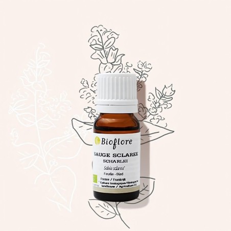 Organic clary sage essential oil, an eminently feminine nature