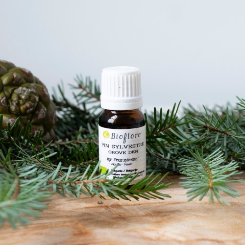 L'huile essentielle de pin sylvestre bio purifiante et aseptisante
