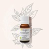 Organic ravintsara essential oil, the winter essential