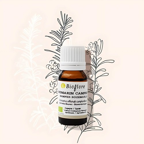 Organic rosemary camphor essential oil helps and relieves muscles