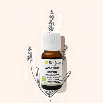 Essentiële olie van bio lavandin super verlicht krampen en spierpijn