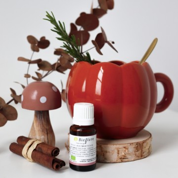 Organic « Grog Aromatique », a synergy that supports the natural defences