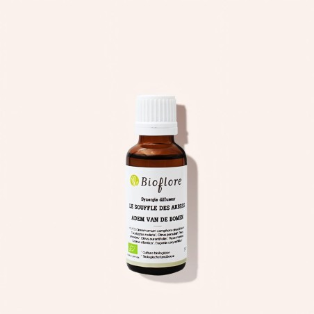 Le Souffle des arbres Refreshing organic synergy ready to use