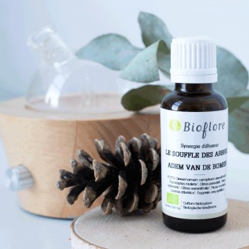 adem van bomen bio certisys adem van bomen bio certisys