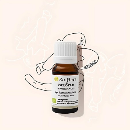 L'huile essentielle de girofle bio purifiante et énergisante