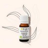 Organic eucalyptus radiata essential oil to breathe well in winter