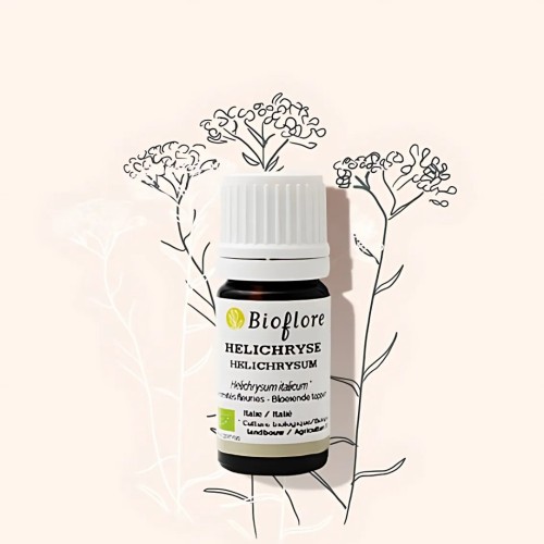 Organic Italian Helichrysum essential oil to treat bruises