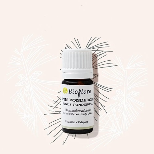 Huile essentielle de Pin Ponderosa bio pour calmer l'asthme