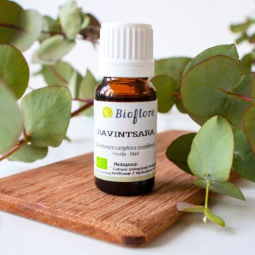 Essentiële olie van bio ravintsara: natuurlijk antivirus in de winter!