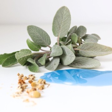 "Lunes" blue oil - organic