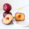 Organic plum vegetable oil, radiance and nutrition for dry skin