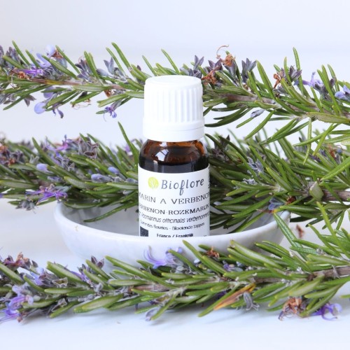 L'huile essentielle de romarin à verbénone bio, pour la détox