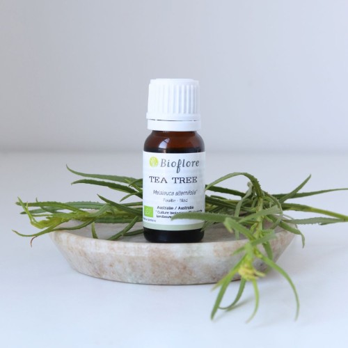 L'huile essentielle de Tea tree bio : l'essentielle en aromathérapie