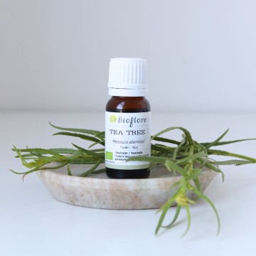 L'huile essentielle de Tea tree bio : l'essentielle en aromathérapie