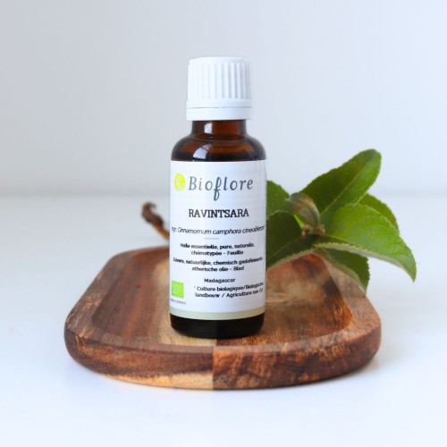 Organic ravintsara essential oil, the winter essential