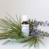Synergie Immunity de Bioflore pour affronter l'hiver avec énergie Synergie Immunity de Bioflore pour affronter l'hiver avec énergie