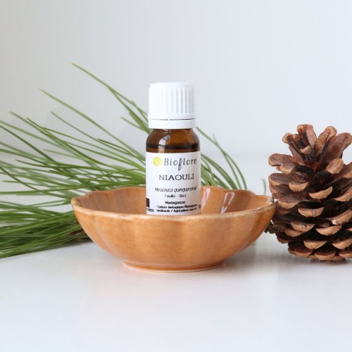 Notre huile essentielle de Niaouli bio pour les voies respiratoires