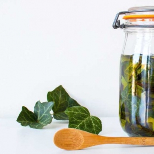 Making your own spring oil macerates