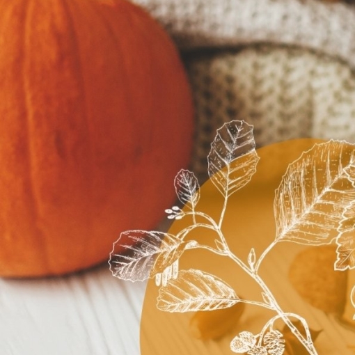 Cures d’automne avec la gemmothérapie