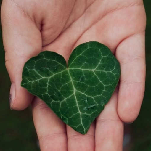 L'équilibre hormonal féminin au naturel